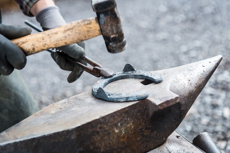 Jezdec a chovatel koní