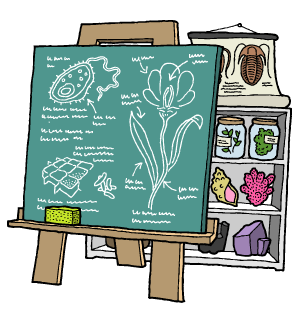 Přírodovědné lyceum